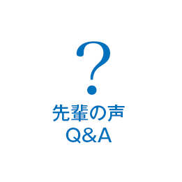 先輩の声（Q&A）